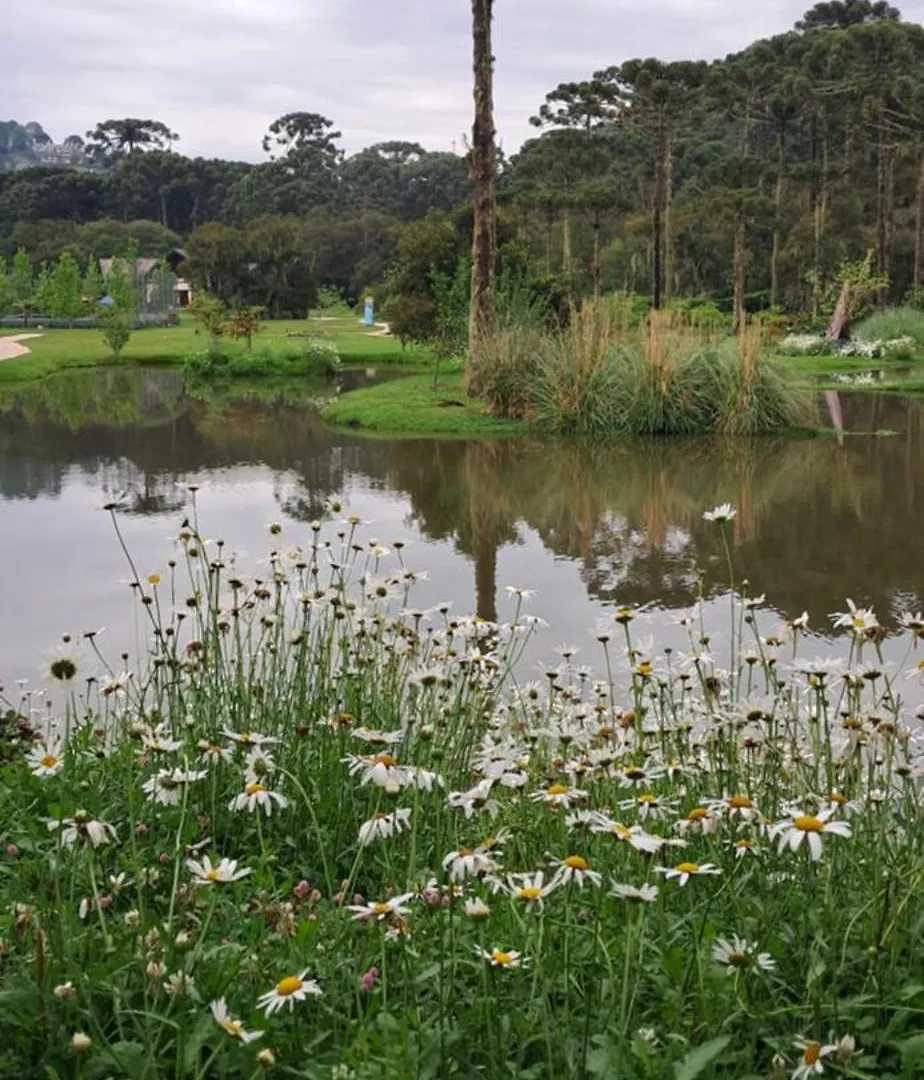 公寓 Canto Araucarias Campos do Jordão 巴西